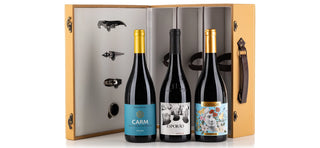Wine cellar 08