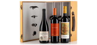 Wine cellar 11